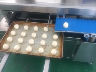 Panasonic Sensor Kaya Bun Bread Production Line 380V Automatic